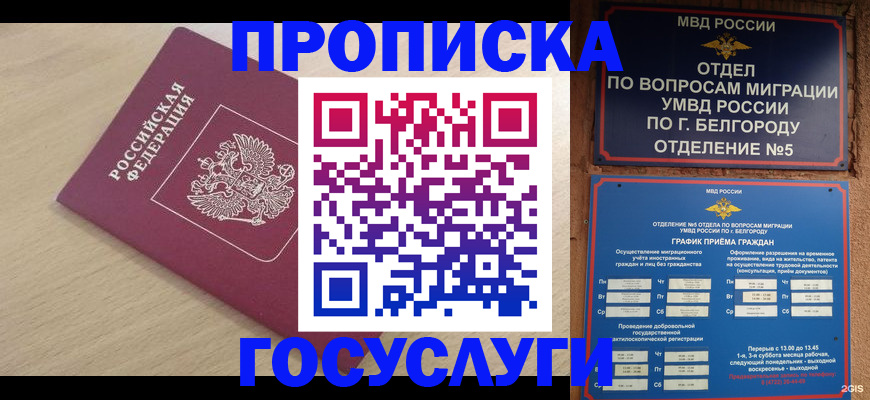 прописка законно в Новосибирской области